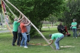 Maibaum 1