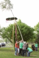 Maibaum 2
