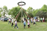 Maibaum 3