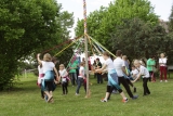 Maibaum 4