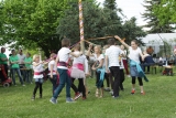 Maibaum 5